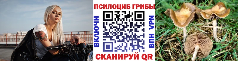 гидра ссылки Шагонар Галлюциногенные грибы MAGIC MUSHROOMS